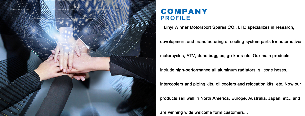 Linyi Winner Motorsport Spares CO., LTD
