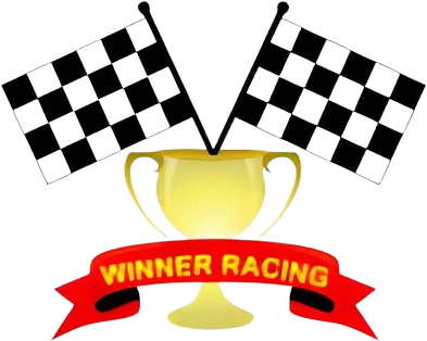 Linyi Winner Motorsport Spares CO., LTD